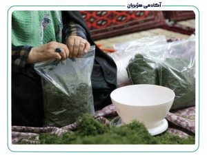 کسب و کار های کوچک و پر سود خانگی
